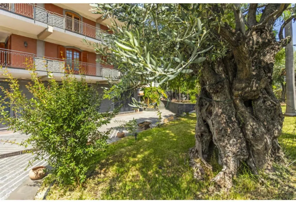 Appartamento Il Giardino Di Pietra Aci SantʼAntonio 0*,